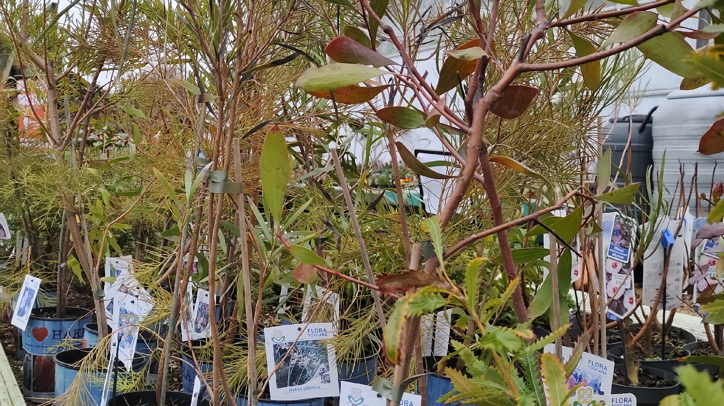 https://whatremovals.co.uk/wp-content/uploads/2022/02/Bexley Butterfly House and Plant Centre-300x169.jpeg